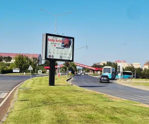 KSU Üniversite Girişi
